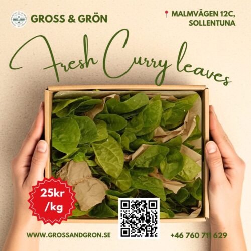 Fresh Curry Leaves Kari pata
