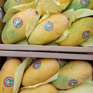 Fresh Pakistani Mangoes